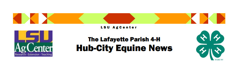 Lafayette 4-H Hub-City Equine News